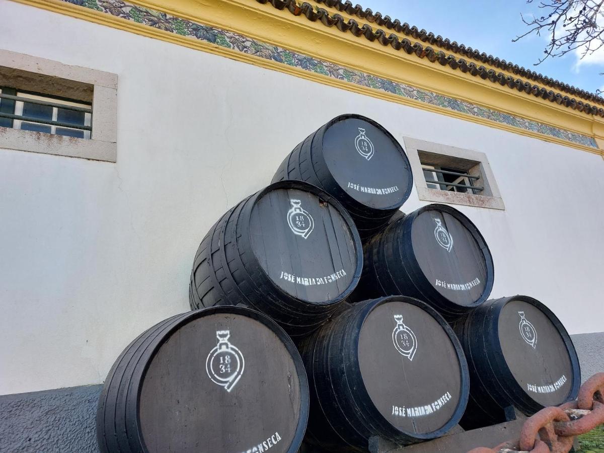 Cocon D'Azeitao Villa Camarate  Ngoại thất bức ảnh